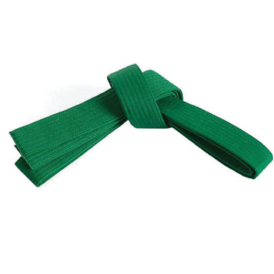 Double Wrap Striped Green Belt